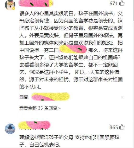 低龄留学备受争议国外教育就更好吗某家长直言“你们是仇富”(图4)