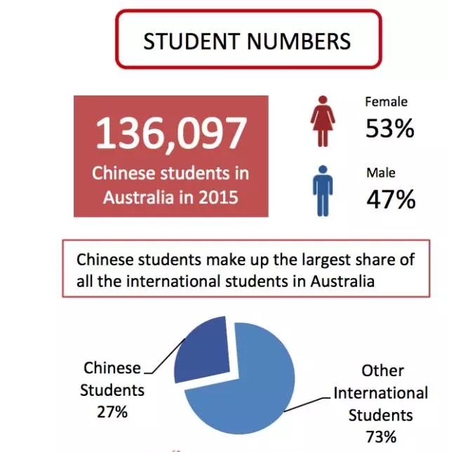 “留学中国”故事：来中国留学 架友谊之桥