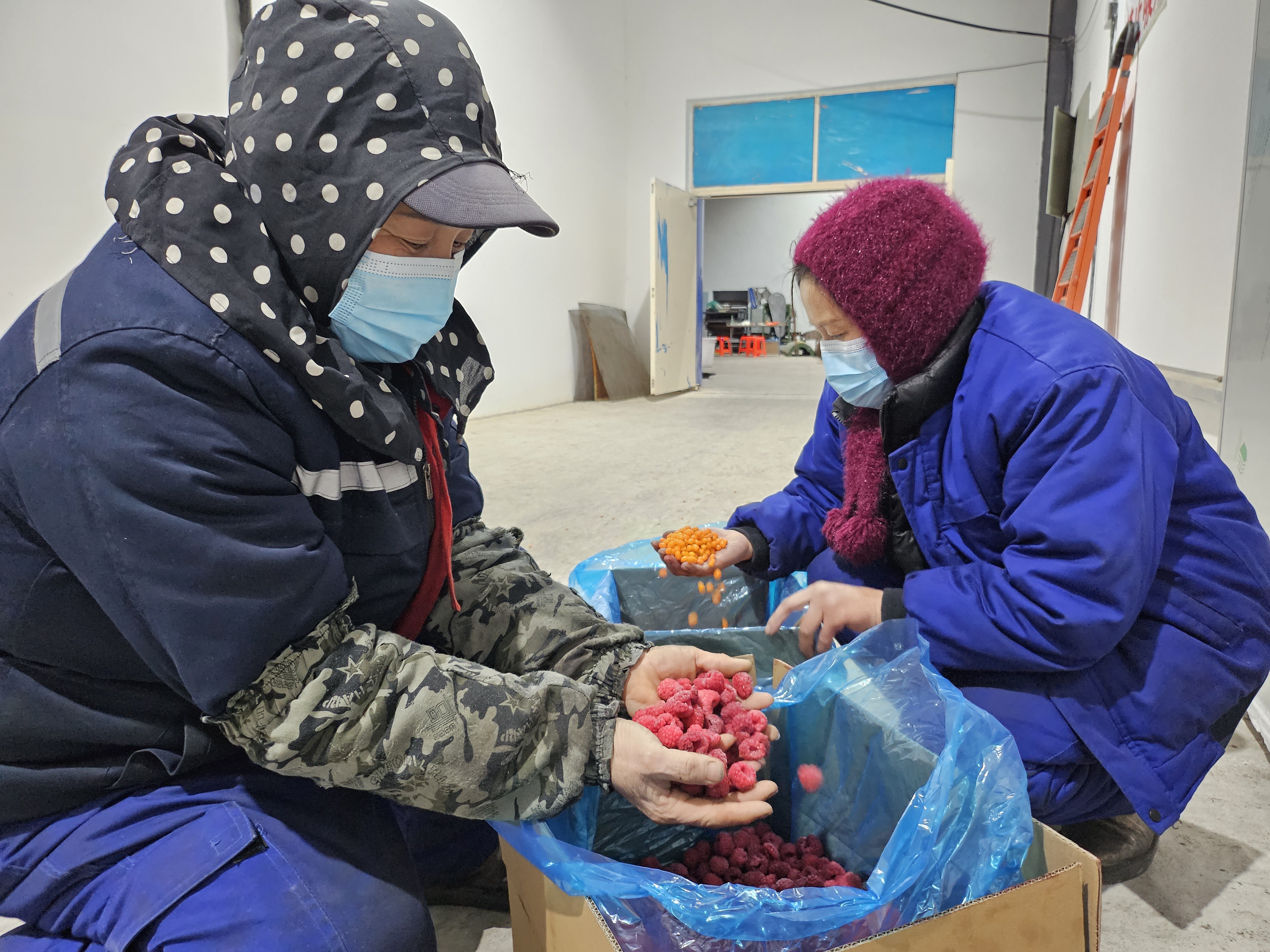 通讯：奋斗是为了更好地成长——澳大利亚伍伦贡大学中国博士留学生的奋斗故事